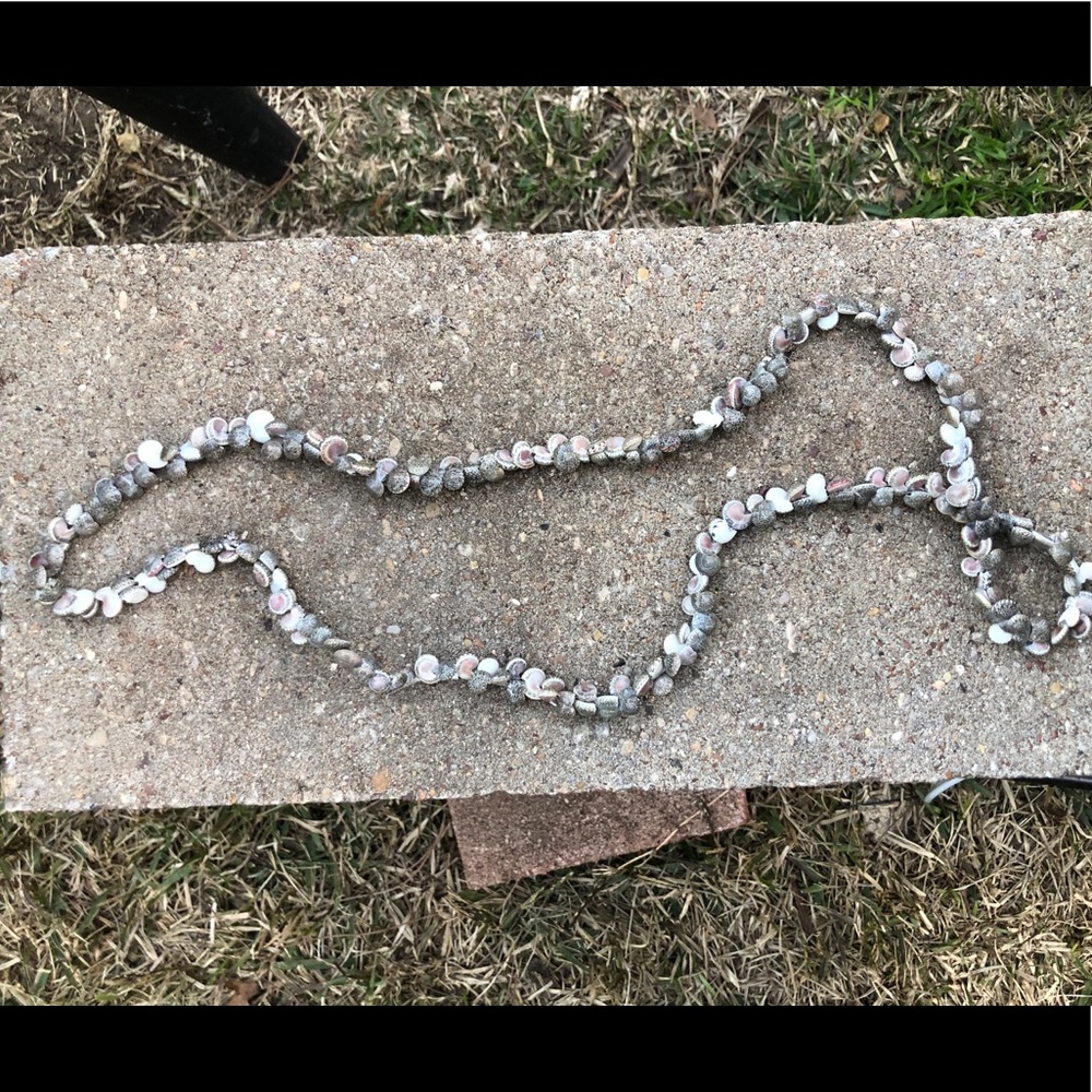 Micro Shell necklace - Picture 3 of 5
